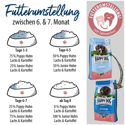 Tableau de transition alimentaire en allemand pour chiot entre 6e et 7e mois, avec proportions Puppy/Junior Huhn Lachs & Kartoffel, sacs Happy Dog Puppy et Junior visibles. Texte non traduit.