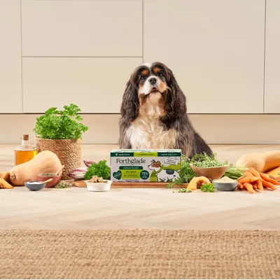 Dog sitting behind a Forthglade complete meal box, surrounded by fresh ingredients including carrots, herbs, and squash, highlighting natural product contents.