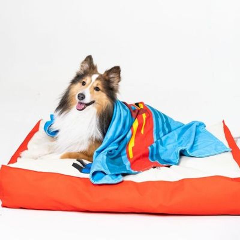 DC Superman hondenmatras