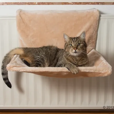 Kočka leží na béžovém pelíšku z textilu zavěšeném na radiátoru. Pelíšek má opěrku a je určen pro kočky.