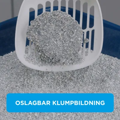 Ever Clean® Total Cover Clumping - Unscented kattsand