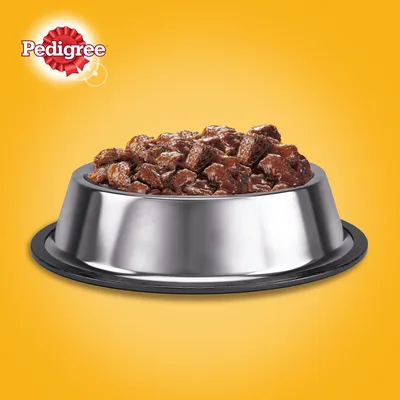 Pedigree Nassfutter in einer silbernen Futterschale, präsentiert vor einem gelben Hintergrund.