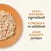 4 + 2 kaupan päälle! 6 x 70 g Applaws-kissanruokaa