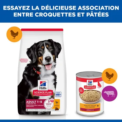 Hill's Science Plan Adult 1-5 Large poulet pour chien