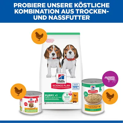 Hill's Science Plan Puppy <1 Medium mit Huhn