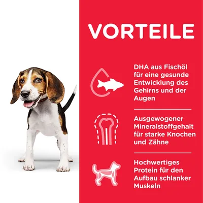 VORTEILE: DHA aus Fischöl für gesunde Entwicklung von Gehirn und Augen, ausgewogener Mineralstoffgehalt für starke Knochen und Zähne, hochwertiges Protein für schlanke Muskeln.
