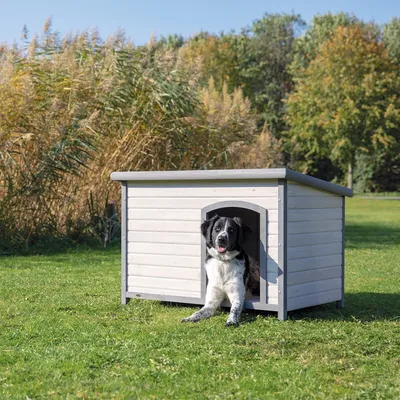 Hvidt hundehus af træ med gråt tag, rektangulær indgang. Står på en grøn eng foran siv og træer.