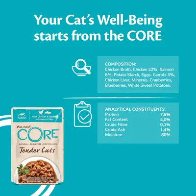 Product ingredients: chicken broth, chicken 22%, salmon 6%, potato starch, eggs, carrots 3%, chicken liver, minerals, cranberries, blueberries, white sweet potatoes. Protein 7.5%, fat 4%.