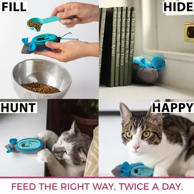 Handleiding voor het gebruik van een voerspeeltje: vullen met droogvoer, speeltje verstoppen, kat jaagt op het speeltje, blije kat na het spelen. Tekst: Feed the right way, twice a day.