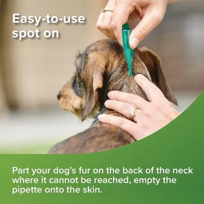 Instructions for spot-on treatment: part the fur on the back of the neck where it cannot be reached and empty the pipette onto the skin. Easy-to-use spot on.