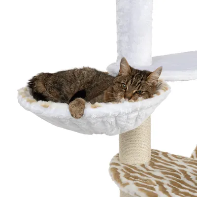 Braune Katze liegt in einer weißen, gepolsterten Hängemulde eines Kratzbaums mit Sisalstamm und gemusterten Plattformen.