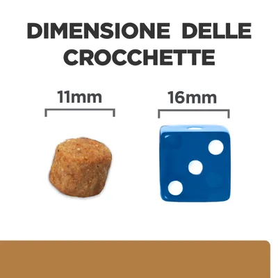 Dimensione delle crocchette: confronto tra una crocchetta da 11 mm e un dado blu da 16 mm, testo visibile 'DIMENSIONE DELLE CROCCHETTE'