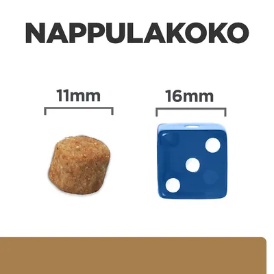 Nappulakoko: koiranruokanappula 11 mm, vertailuna sininen noppa 16 mm. Teksti: NAPPULAKOKO, 11 mm, 16 mm.