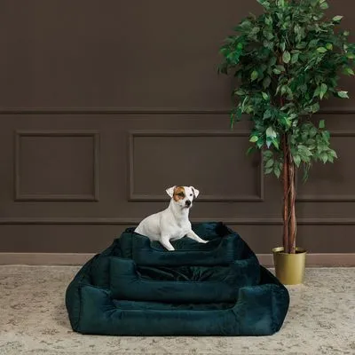 Modern Living Fern легло за кучета