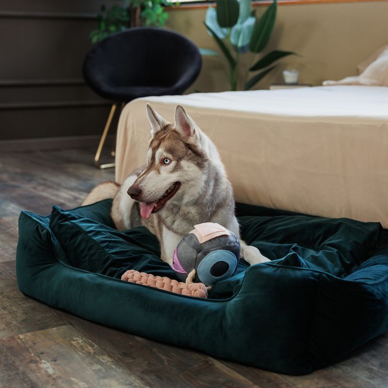 Modern Living Hundebett Fern