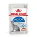 Royal Canin Indoor Sterilised în sos