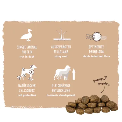 Single Animal Protein reich an Ente, ausgeprägter Fellglanz, optimierte Darmflora, natürlicher Zellschutz, gleichmäßige Entwicklung. Abbildung von Trockenfutterstücken. Single Animal Protein reich an Ente, ausgeprägter Fellglanz, optimierte Darmflora, natürlicher Zellschutz, gleichmäßige Entwicklung. Abbildung von Trockenfutterstücken.