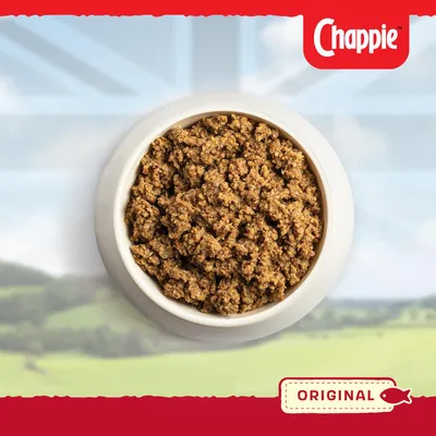 Bowl filled with Chappie Original pet food, showing texture and portion size. Label in image reads 'Original' with a fish icon.