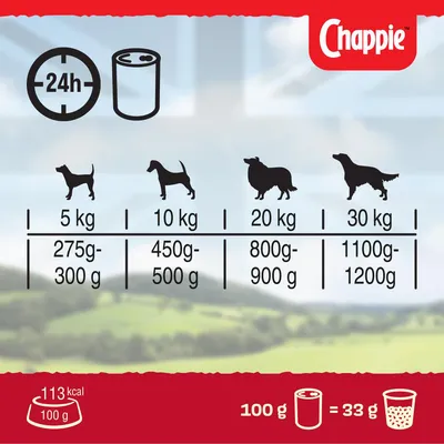 Daily feeding guide showing recommended food amounts by pet weight: 5kg, 275-300g; 10kg, 450-500g; 20kg, 800-900g; 30kg, 1100-1200g. 113 kcal per 100g. 100g wet equals 33g dry.