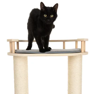 Schwarze Katze steht auf einem Kratzbaum mit Sisalstämmen und gepolsterter Liegefläche aus Holz.