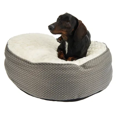 Hund på en grå, prikket kæledyrsseng med hvid plyssoverflade.