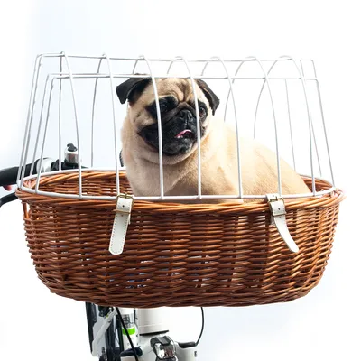 Cykelkorg av brunt flätverk med vitt metallgaller, monterad på cykelstyre. Hund sitter i korgen under skyddsgallret.