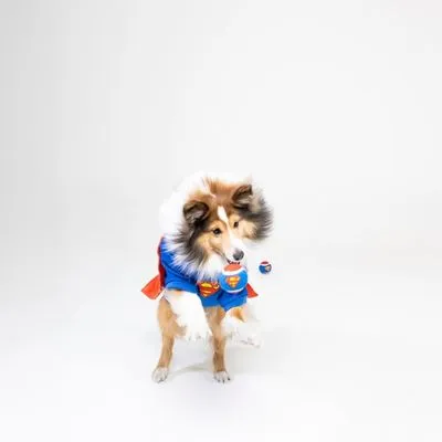 DC Superman tennisballen set