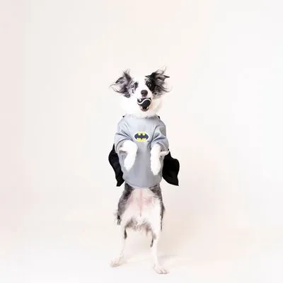 DC Batman tennisballen set