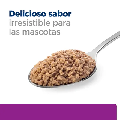 Cucharada de comida húmeda para mascotas con texto: Delicioso sabor irresistible para las mascotas.