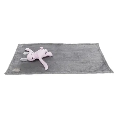 Grey blanket with a purple rabbit-shaped soft toy. Label on the blanket with the text 'Welcome'.