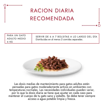 Ración diaria recomendada para gato adulto medio 4 kg: servir de 6 a 7 bolsitas al día, distribuidas en al menos 2 comidas separadas. Plato con comida húmeda para gatos visible.