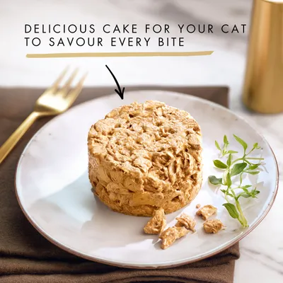 Text: Delicious cake for your cat to savour every bite. Image shows a round portion of cat food on a plate with herbs and a gold fork in the background.