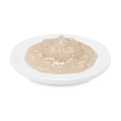 Close-up of beige wet food portion on white plate, showing product consistency.
