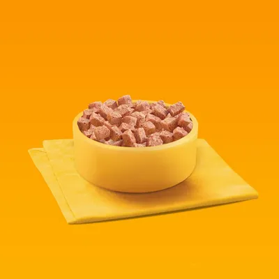 Bowl filled with cubed wet pet food placed on a folded yellow cloth, showing product texture and serving suggestion.