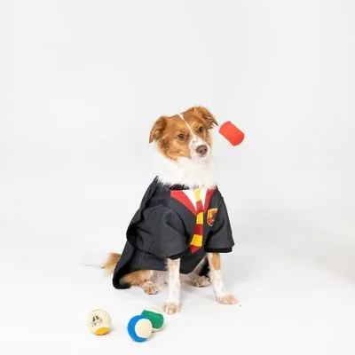 Harry Potter Hogwarts tennisballen set