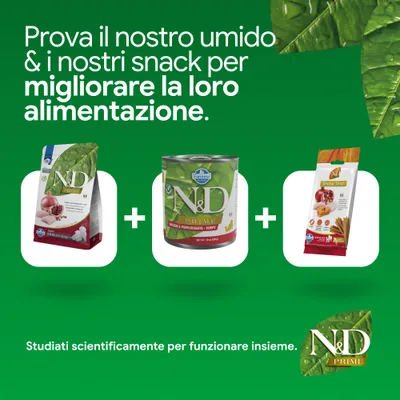 N&D Prime crocchette, alimento umido e Dental Treat. Sviluppato scientificamente per una nutrizione migliorata. N&D Prime crocchette, alimento umido e Dental Treat. Sviluppato scientificamente per una nutrizione migliorata.