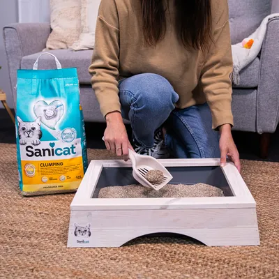 Sanicat clumping cat litter, woman demonstrating use with scoop in wooden litter box. Packaging visible: 10L, unscented, with oxygen freshness.