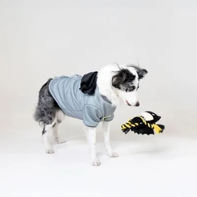 DC Batman touwspeeltje voor honden