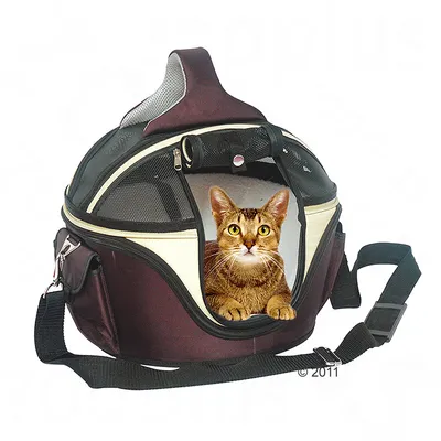 Переноска для животных с сетчатыми вставками и открытой дверцей, внутри сидит кошка. Видна регулируемая лямка и боковой карман.