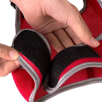 Close-up of hands demonstrating how to fasten a red harness using a black hook and loop (Velcro) strap.