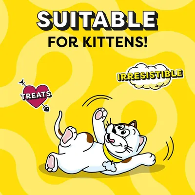 Dreamies Cat Treats - Cheese