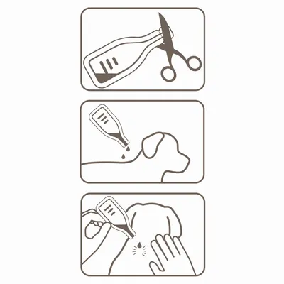 Step-by-step instructions showing how to cut open a pipette, apply drops along an animal’s back, and part the fur to apply liquid directly onto the skin.