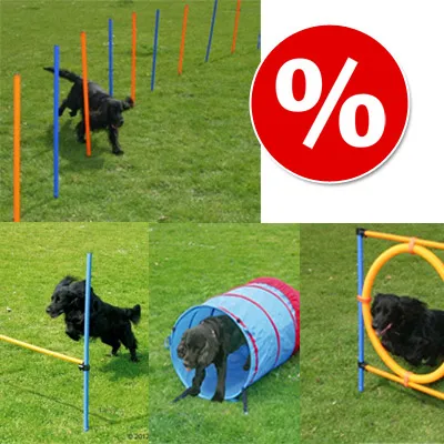 Sada agility překážek pro psy: slalomové tyče, skoková hrazda, tunel a kruh. Černý pes předvádí použití. Červený symbol procenta v pravém horním rohu.