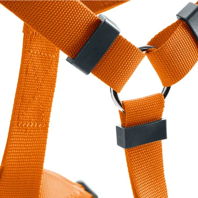 Close-up van een oranje riem met zwarte kunststof sluiting en metalen ring.