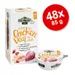 Lot Greenwoods Joy 48 x 85 g pour chat