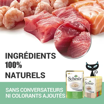 Ingrédients 100 % naturels. Sans conservateurs ni colorants ajoutés. Schesir – filets de poulet en sachets pour chats visibles en bas à droite.