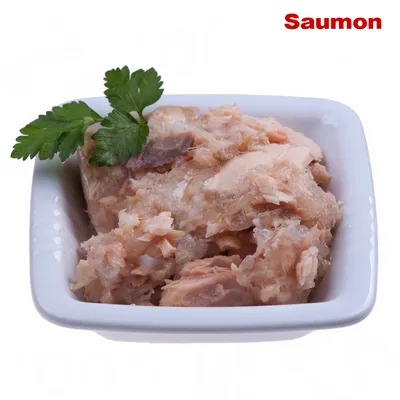 Morceaux de saumon dans une coupelle blanche, garnis d’une feuille de persil. Texte visible : Saumon.