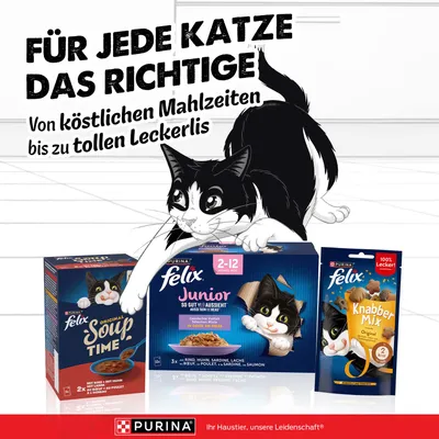 Für jede Katze das Richtige: Von köstlichen Mahlzeiten bis zu tollen Leckerlis. Purina Felix Soup Time, Junior und Knabber Mix abgebildet.