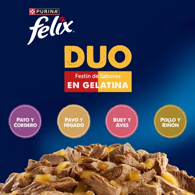 Jumbopack Felix Fantastic 120 x 85 g - Doblemente bueno