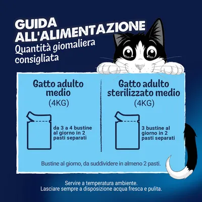 Multipack 120 x 85 g Felix Sensations in Gelatina - Varietà di carne (Manzo, Pollo, Anatra, Agnello) Multipack 120 x 85 g Felix Sensations in Gelatina - Varietà di carne (Manzo, Pollo, Anatra, Agnello)